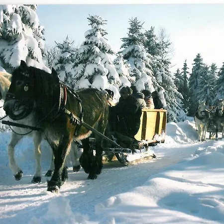 Berghof Seiffen